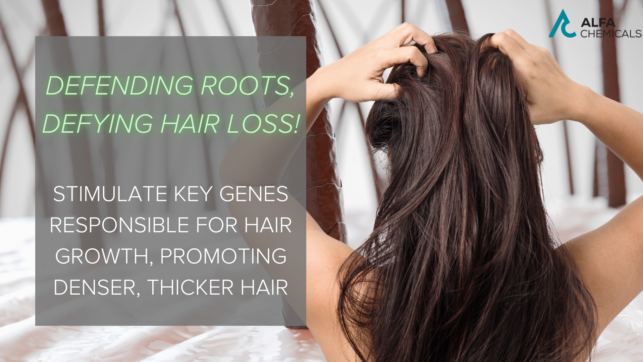 Defending Roots, Defying Hair Loss