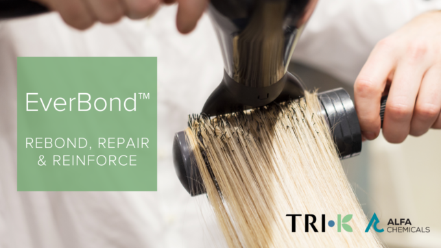 EverBond™ - Rebond, Repair & Reinforce