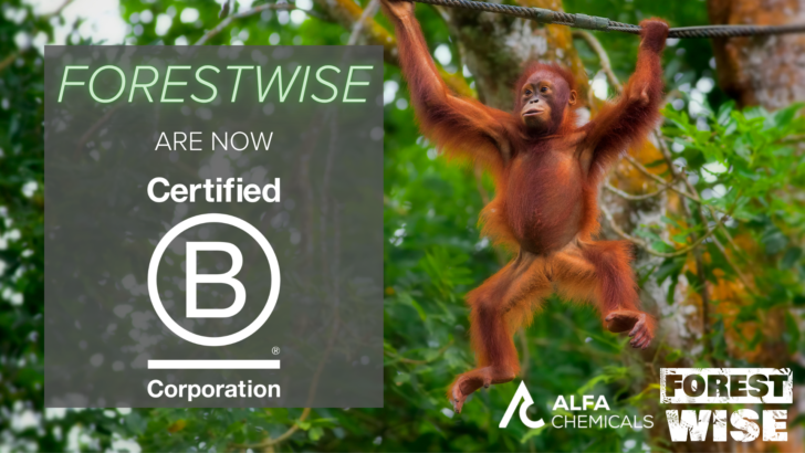 Forestwise is now a Certified B Corporation™!