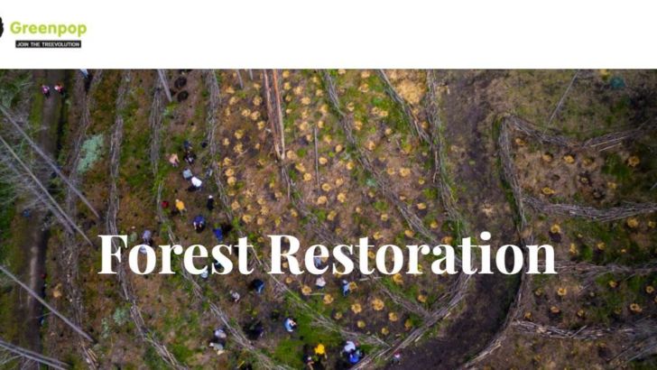 Alfa supports GreenPop's forest restoration project