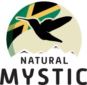 Natural Mystic Specialist Products