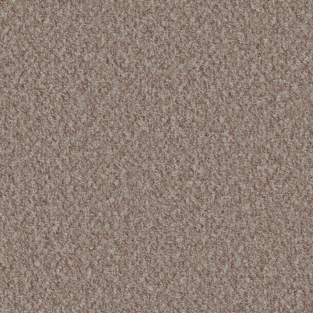Mojave - Beach Nut