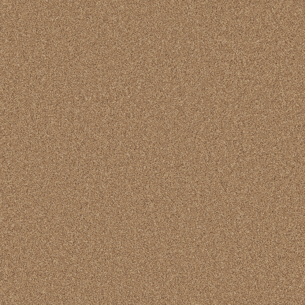 Chiltern - Elm
