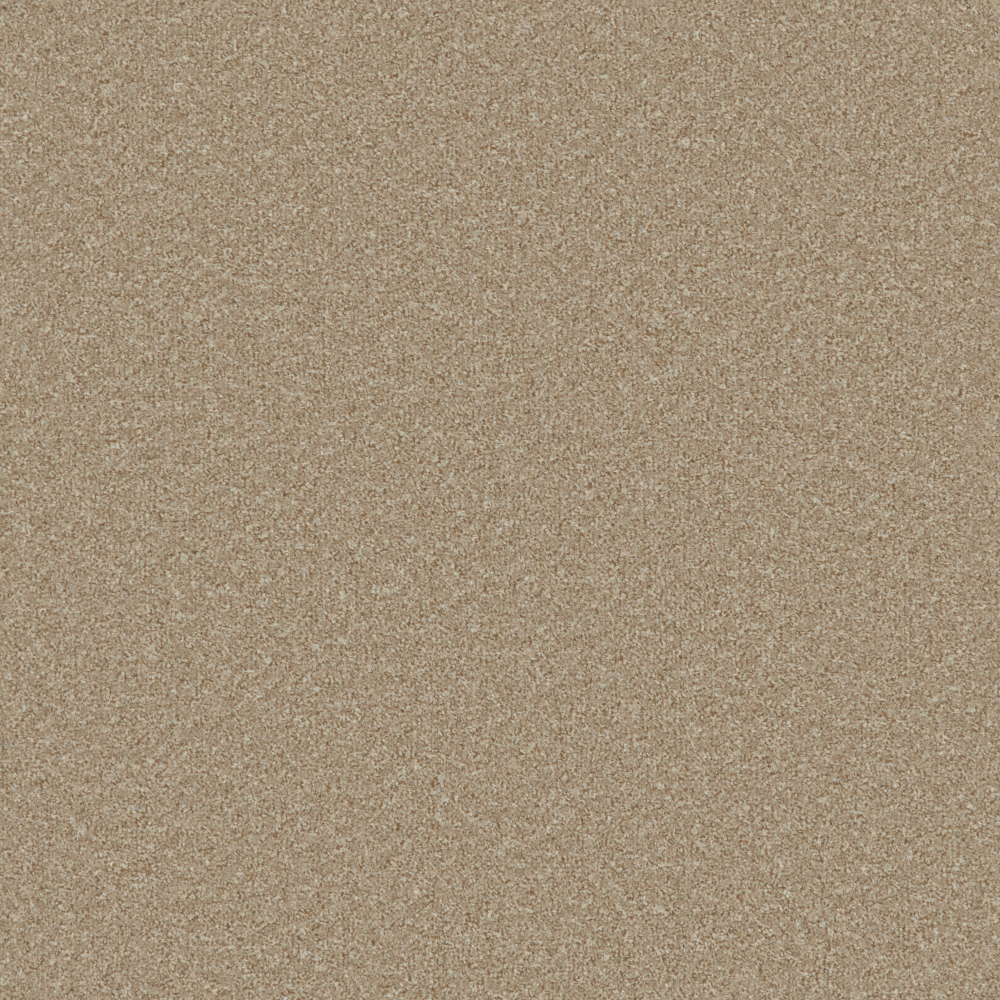 Fairway - Sand Dune