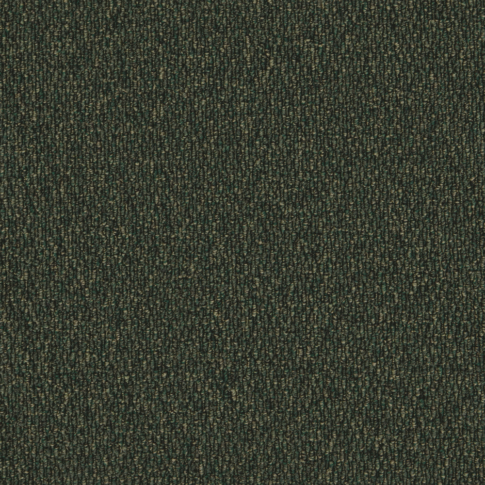 Gobi - Palm