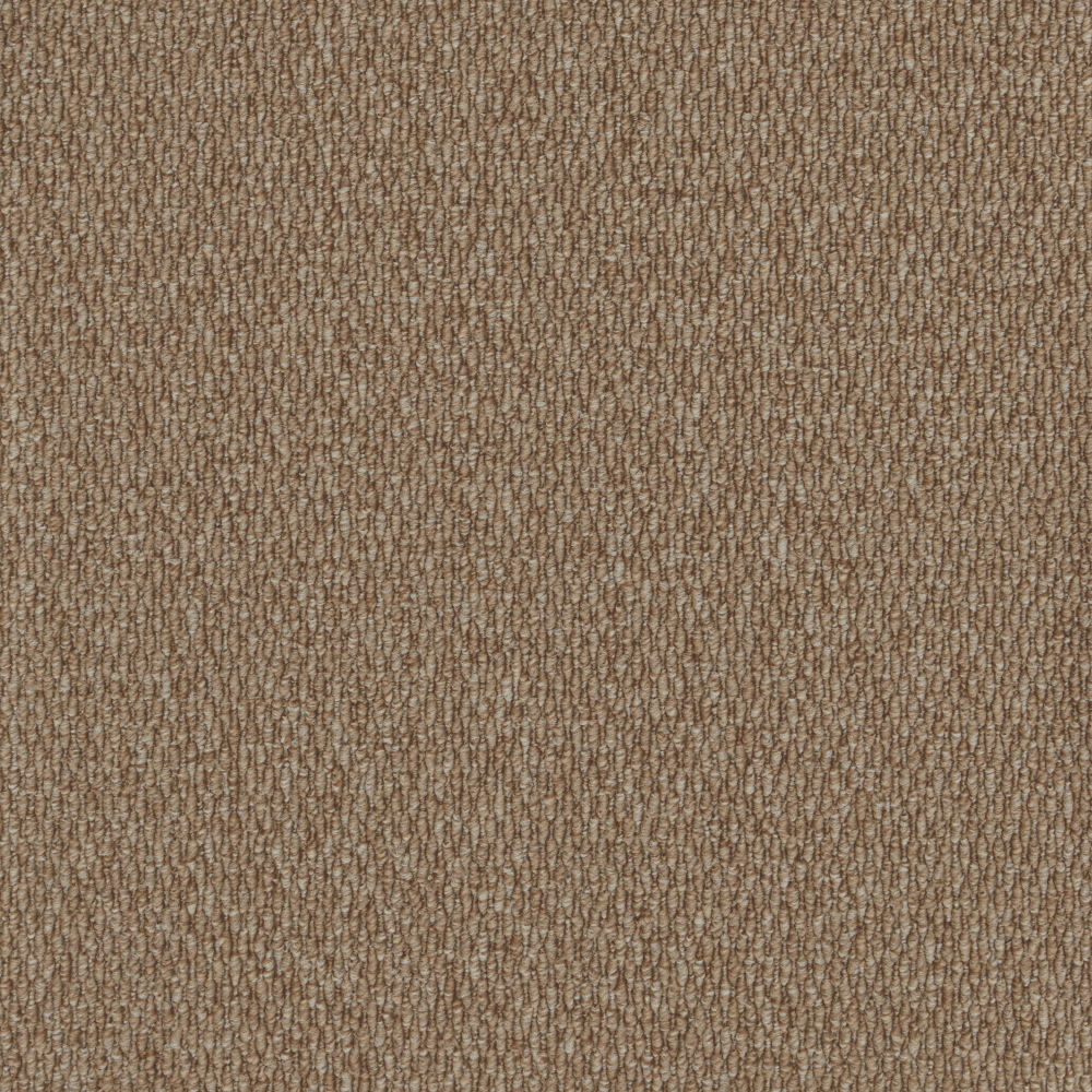 Gobi - Shifting Sands