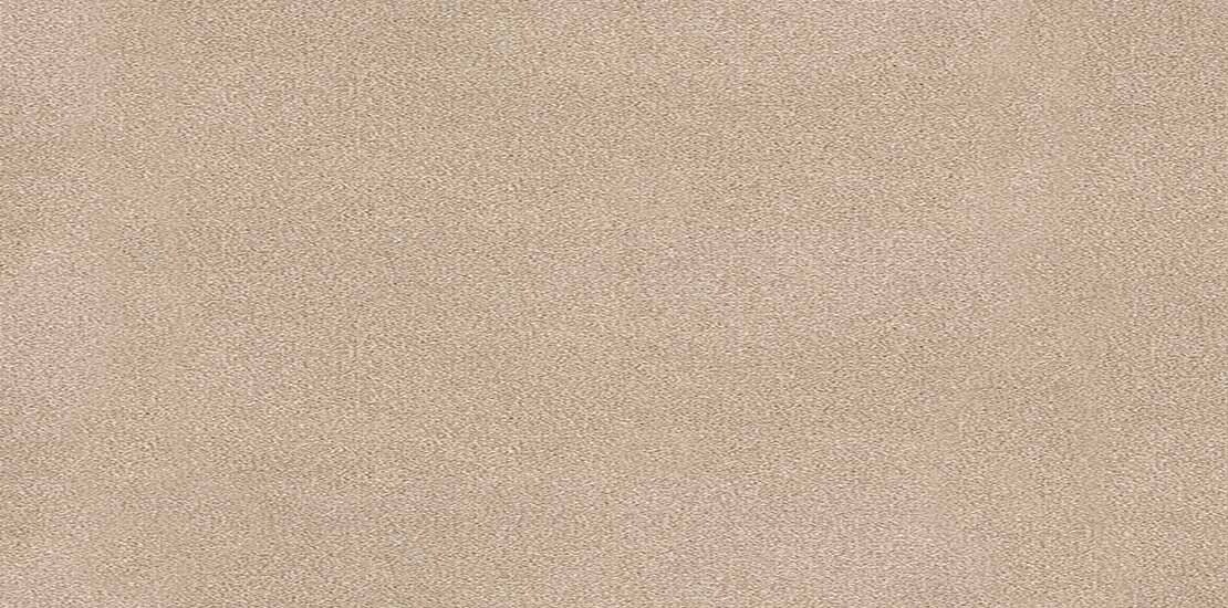 Trident - Vicuna