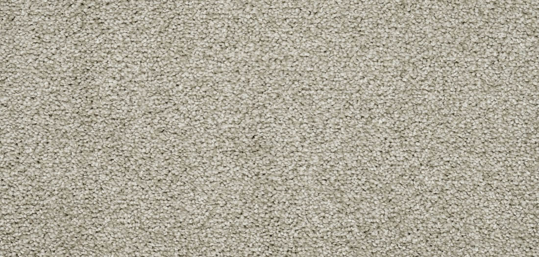 Charme - Bleachstone