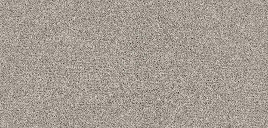 Renaissance - Dry Ice